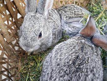 快递拯救世界 《Parcel Corps》上市宣传片欣赏